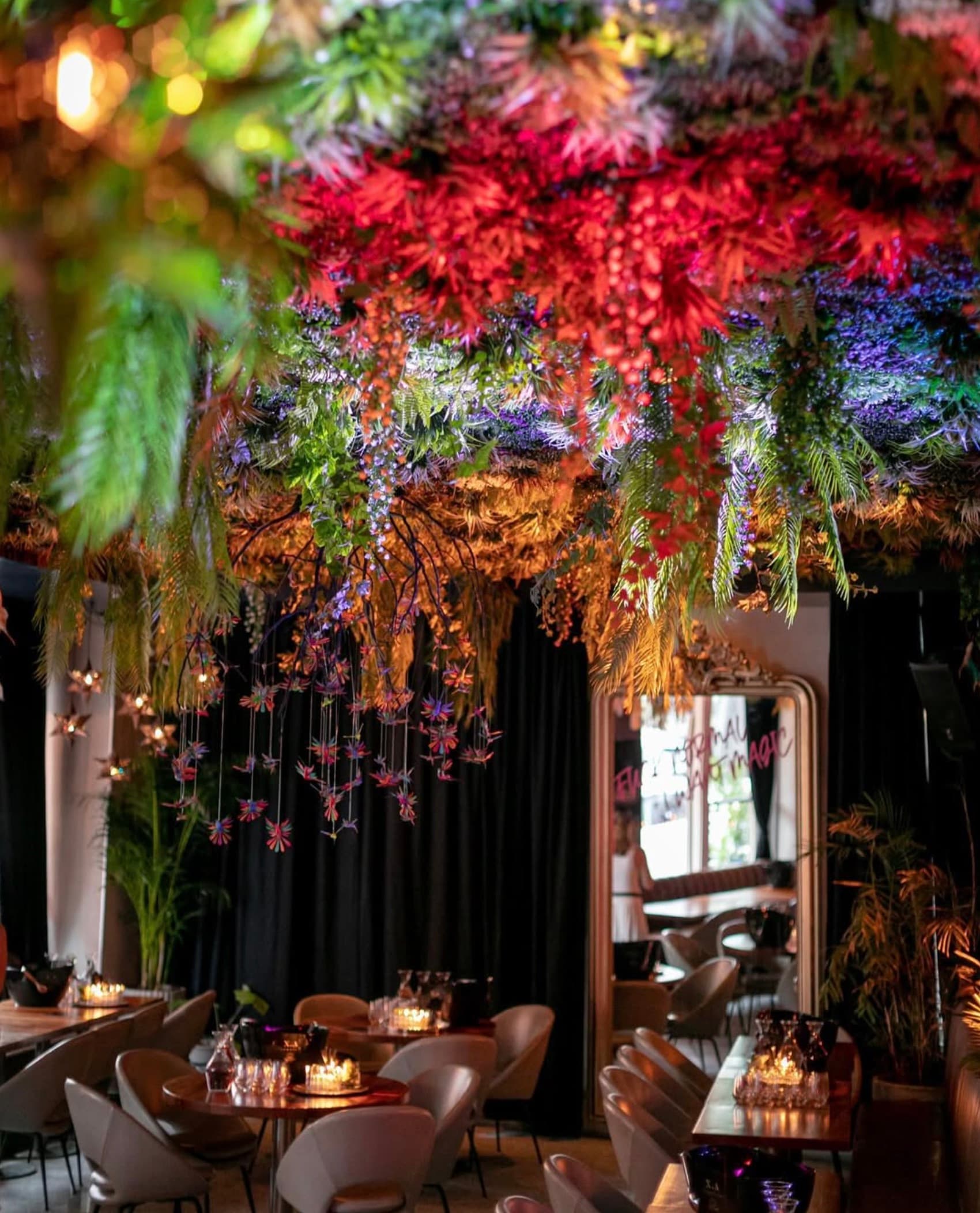 Supper Club Nights